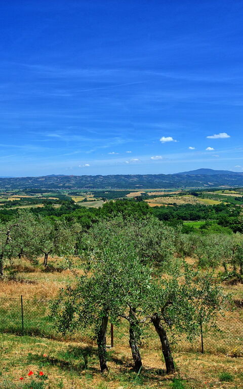 Casa Olivia: Scenic View