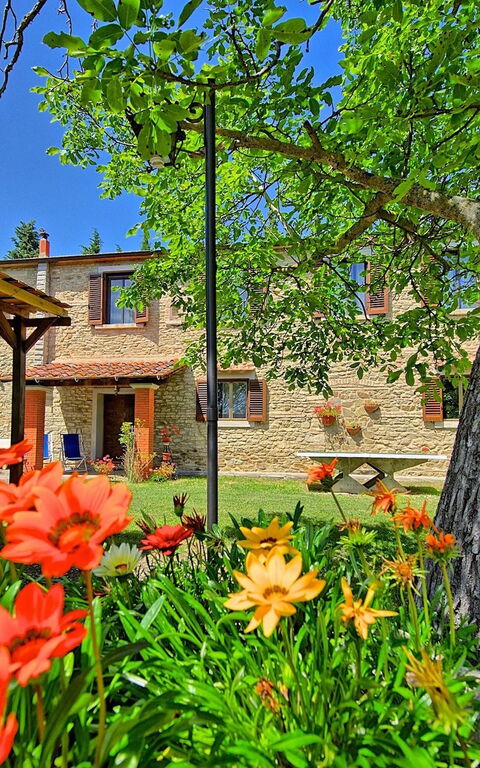 Villa Luciano: Garden