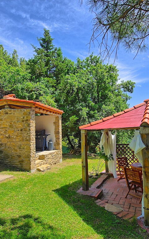 Villa Luciano: Garden