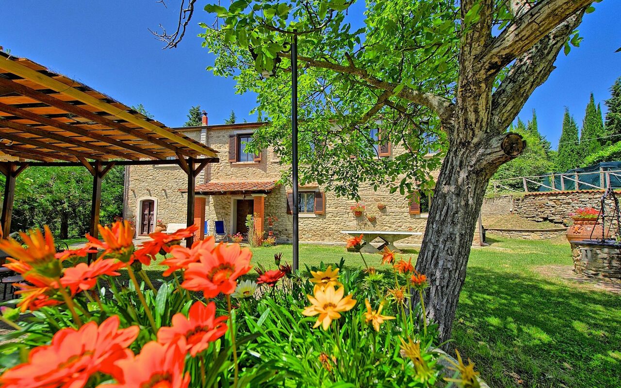 Villa Luciano: Garden