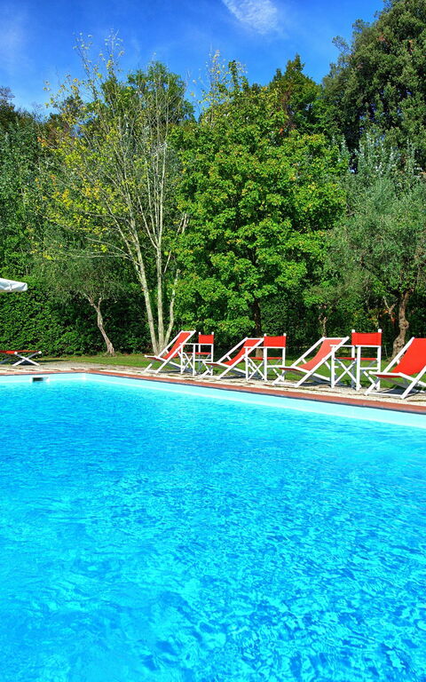Villa Fiamma: Pool