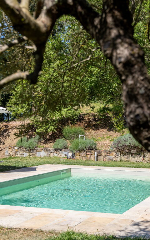 Villa Morandi: Garden, Outdoor, Pool, Scenic View
