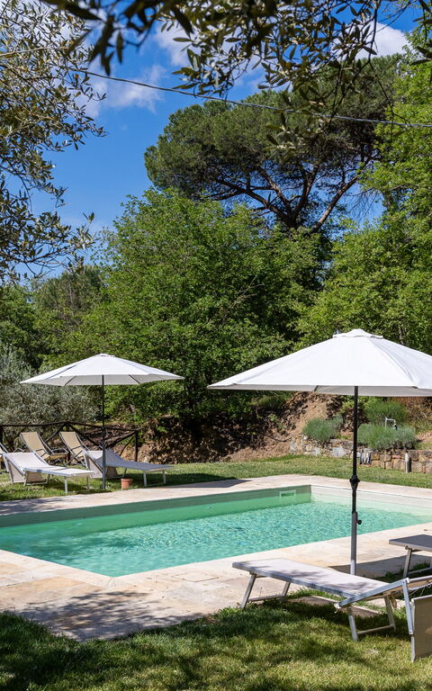 Villa Morandi: Garden, Outdoor, Pool