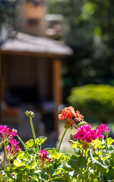 Villa Morandi: Garden, Outdoor