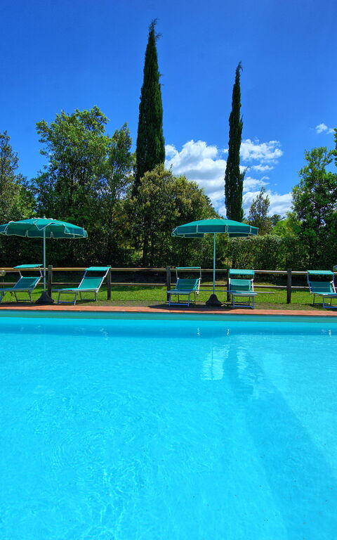 Villa Picchio: Outdoor, Pool