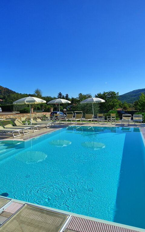 Flavia: Garden, Outdoor, Pool