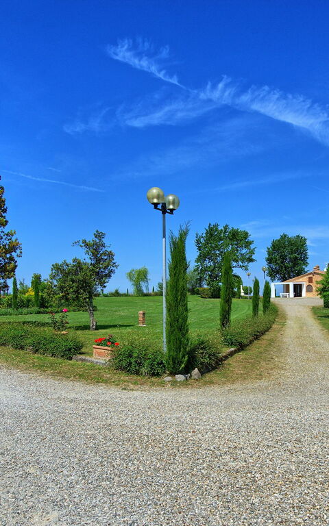Montaione: Garden
