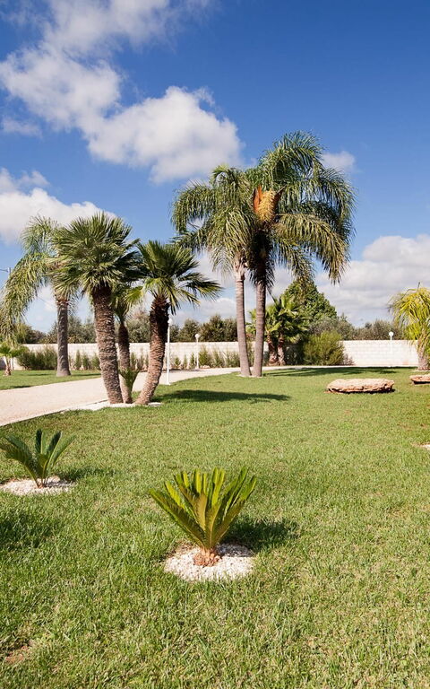 Meadow Luxury Villa: Garden, Outdoor