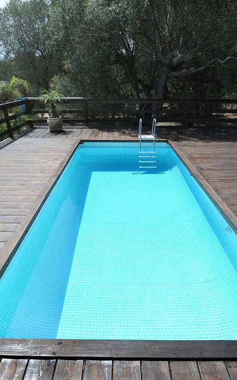 Villa Serena Maria: Pool