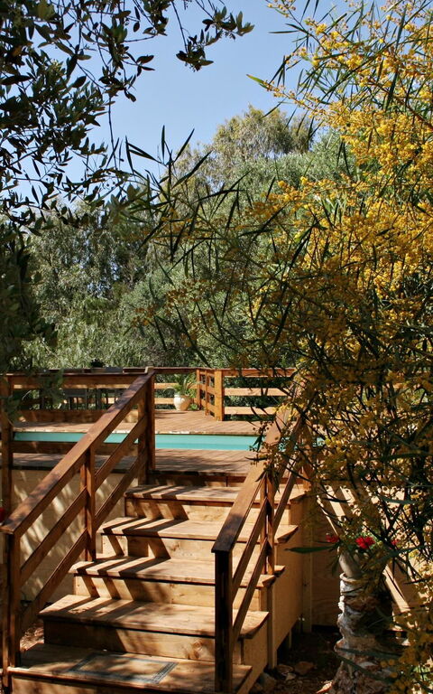 Villa Serena Maria: Garden, Outdoor