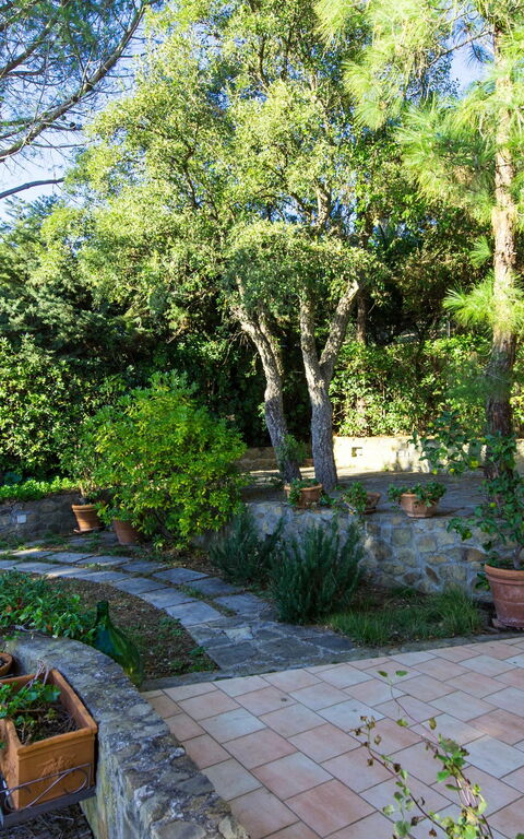 Vista Mare: Garden