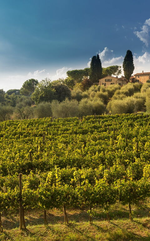 Villa Poggiospinoso: Scenic View