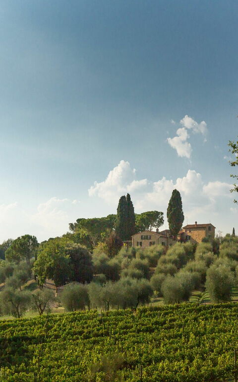 Villa Poggiospinoso: Scenic View