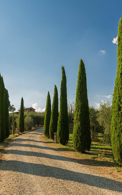Villa Poggiospinoso: Scenic View