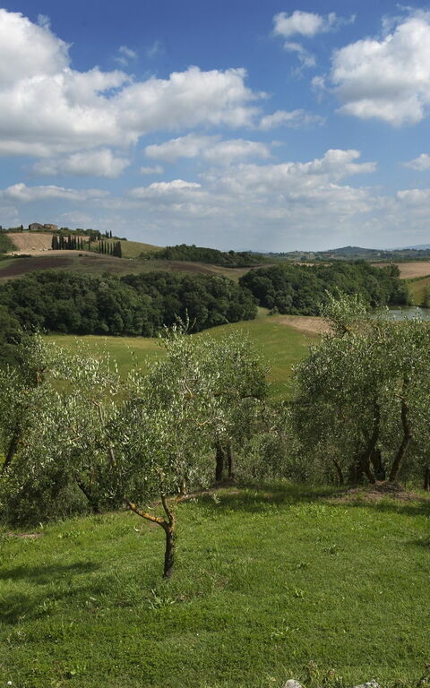 Tenuta Cambiano: Scenic View
