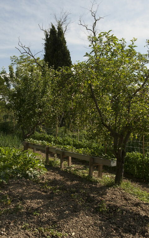 Tenuta Cambiano: Scenic View