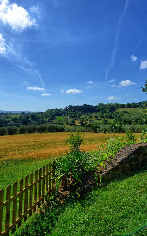 Villa Sarteano: Garden