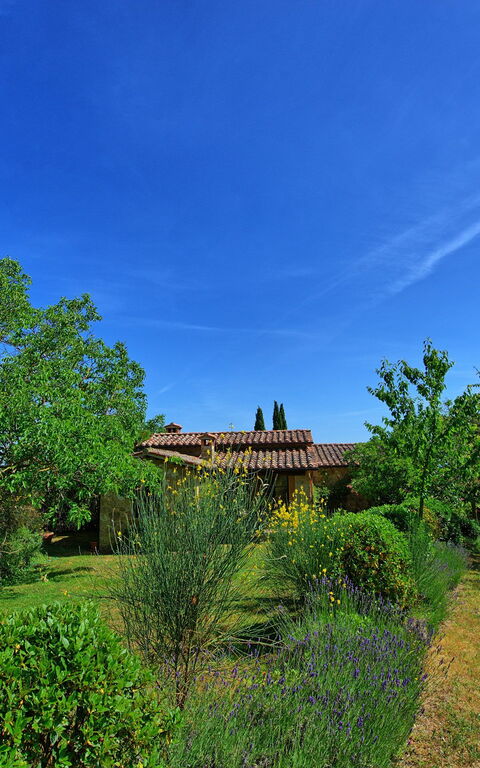 Villa Sarteano: Garden
