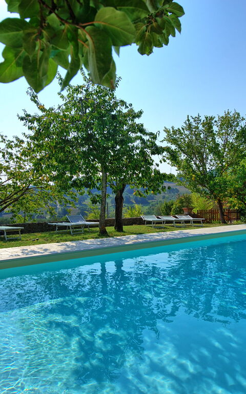 Villa Sarteano: Pool
