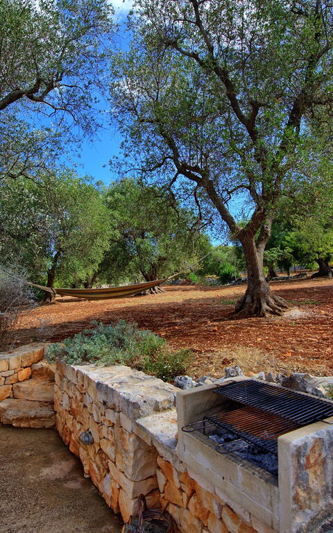 Trullo Pascarosa: Garden
