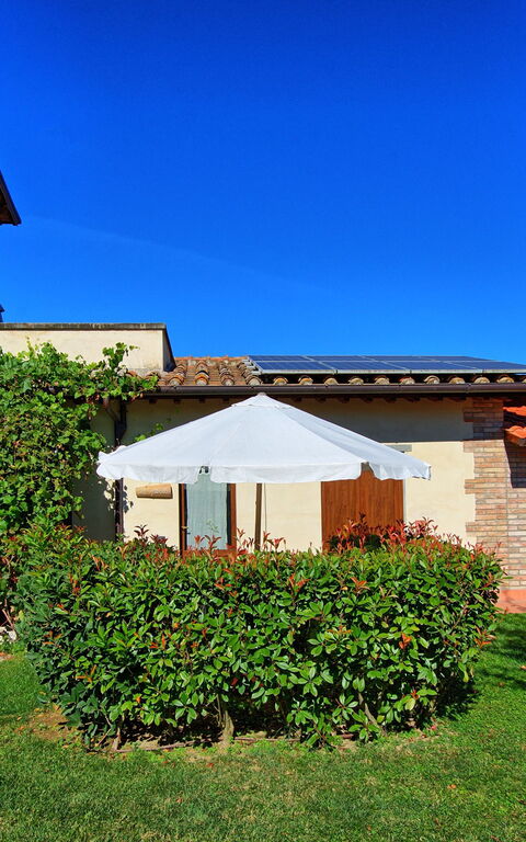 Casale Tiziano: Garden