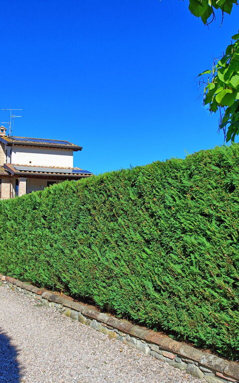 Casale Tiziano: Outdoor