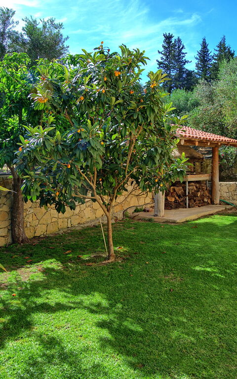 Villa Vrisses: Garden, Outdoor