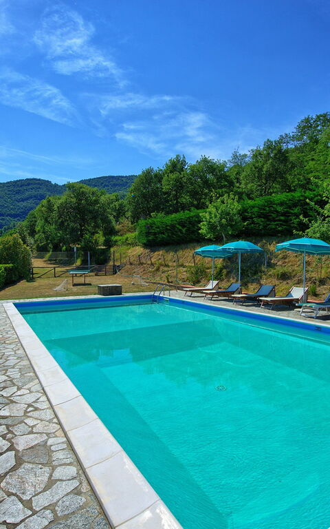 Borgo Veronica: Garden, Pool