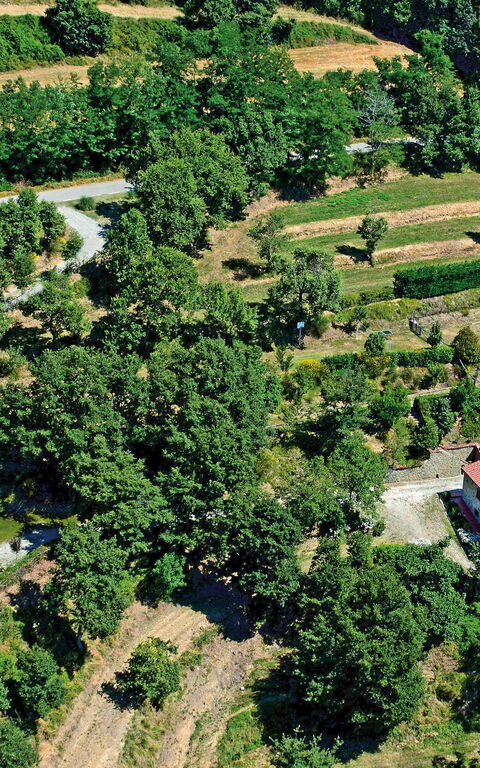 Borgo Veronica: Scenic View