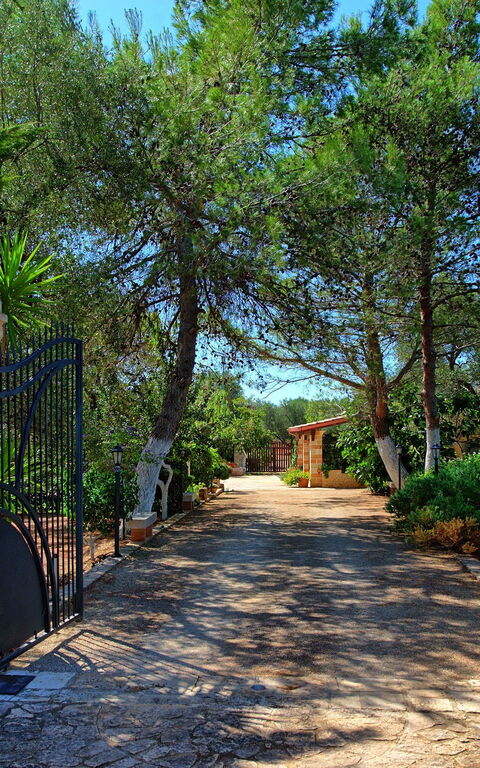 Lamia Santo Arcangelo: Garden