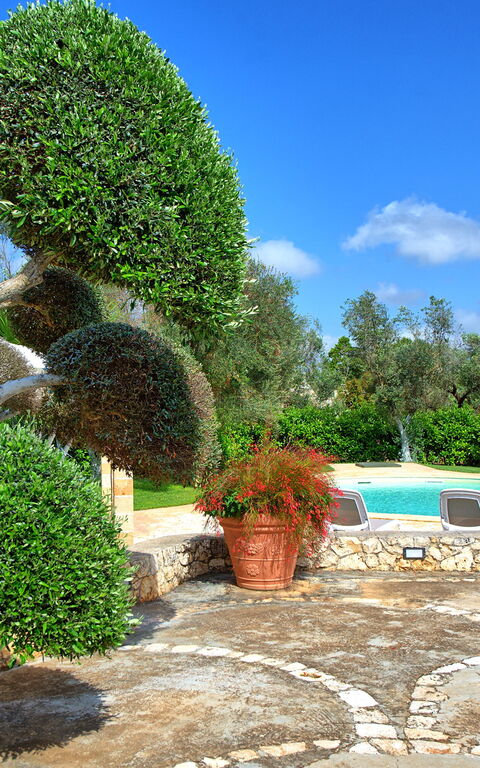 Lamia Santo Arcangelo: Garden, Outdoor, Pool