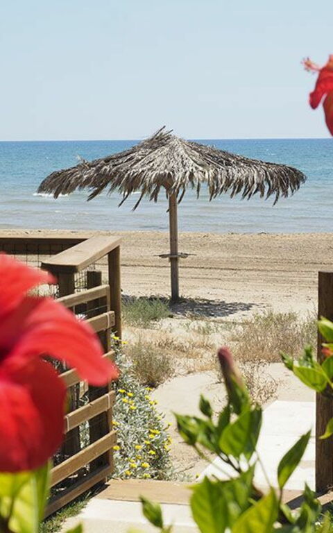 Villa Ariel: Outdoor