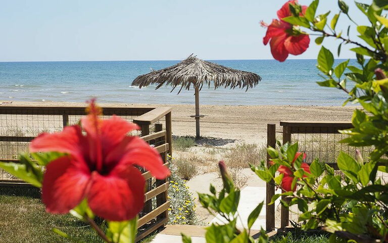 Villa Ariel: Outdoor