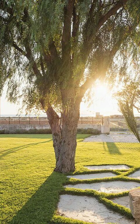 Villa Salinella: Garden