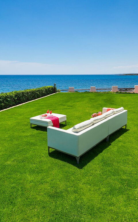 Blu Moon: Garden, Outdoor, Scenic View