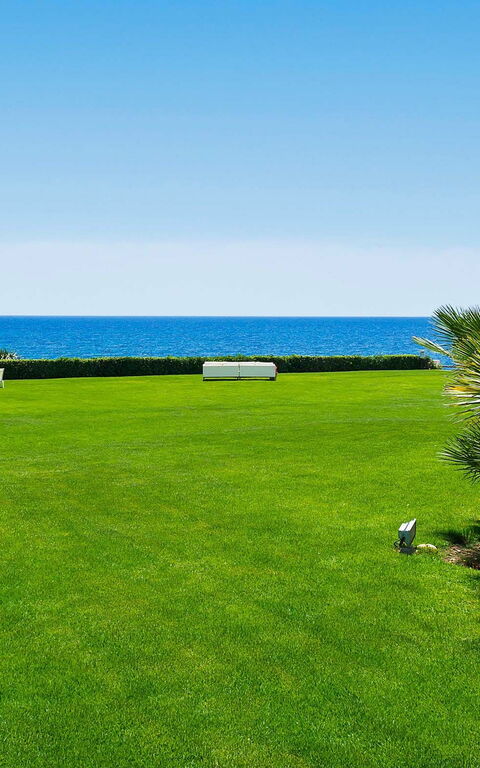 Blu Moon: Garden, Scenic View