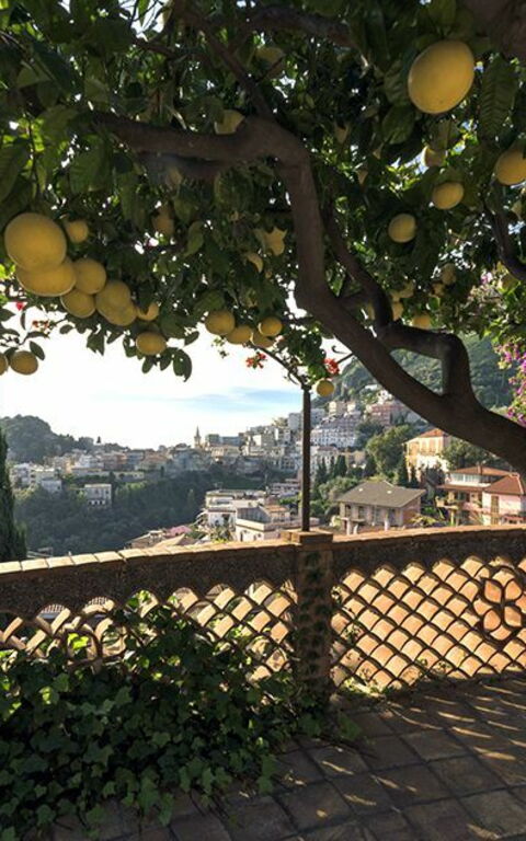 Villa La Boheme: Garden, Scenic View