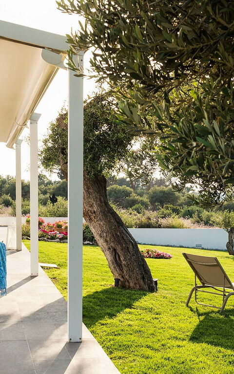 Villa Nettuno: Garden, Outdoor