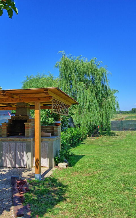 Casa Violina: Balcony / Terrace / Patio, Garden