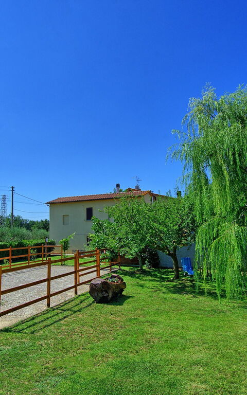 Casa Violina: Garden