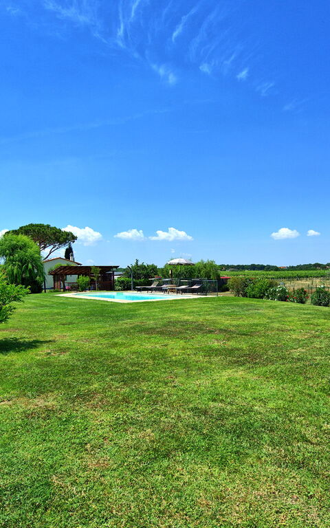 Casa Violina: Garden, Outdoor