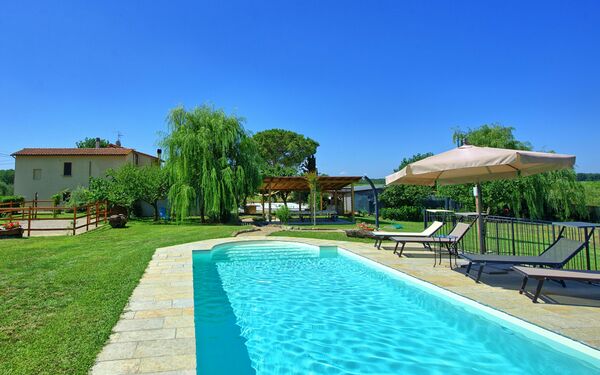 Casa Violina: Garden, Pool