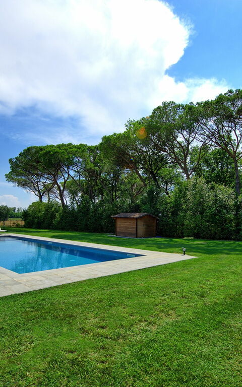 Villa Cangeli: Garden, Outdoor, Pool