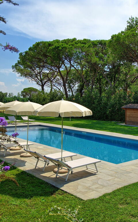 Villa Cangeli: Garden, Outdoor, Pool