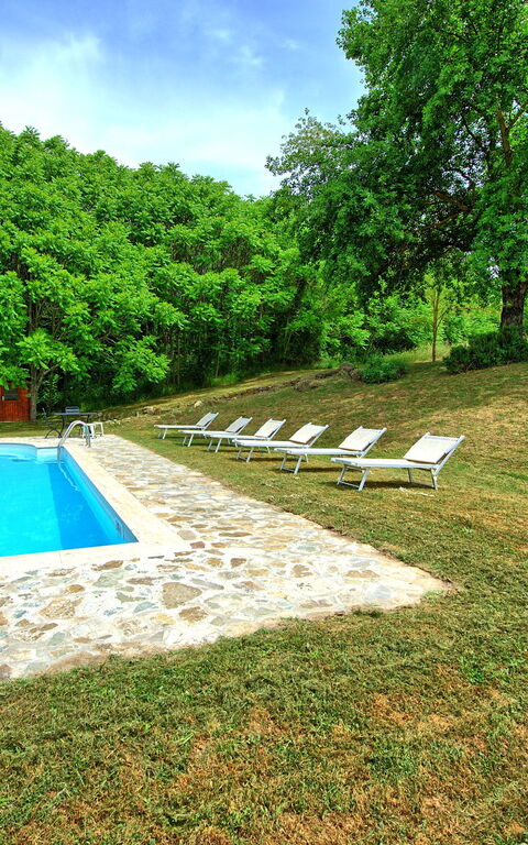 Villa Gualchiere: Garden, Outdoor, Pool