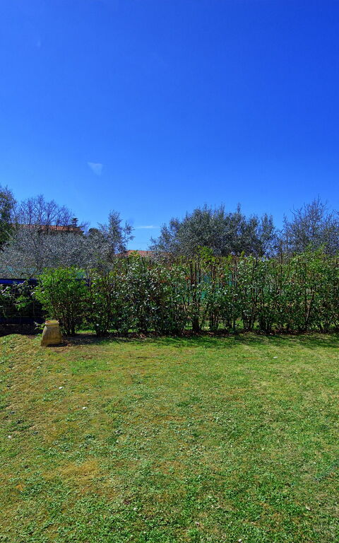 Casa Al Bosco: Garden, Outdoor