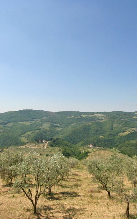 Casalta: Garden, Outdoor