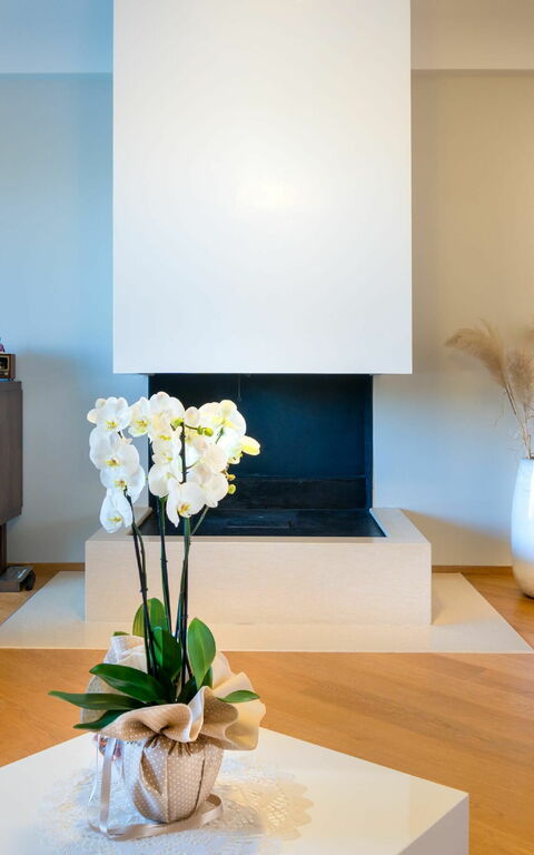 Villa Modigliani: Living Room