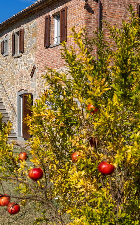 Villa Dei Vini: Building Exterior, Garden, Outdoor