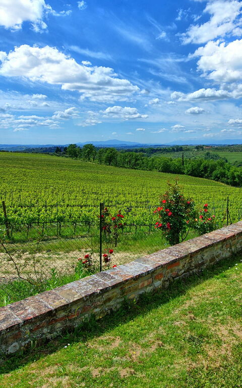 Maggiano: Scenic View